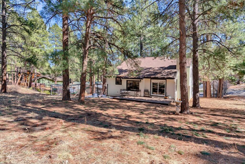 Quaint Home In The Pines Flagstaff Buitenkant foto